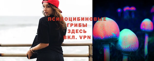 a pvp Белокуриха