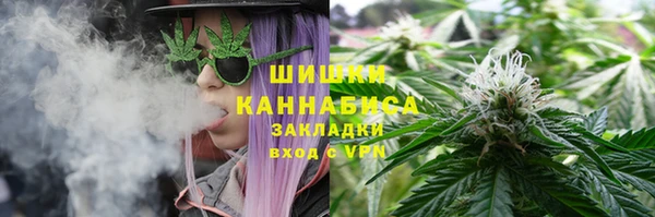 a pvp Белокуриха