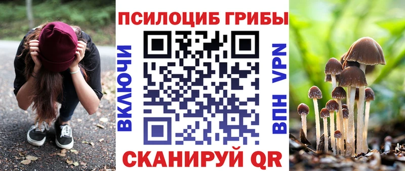 Псилоцибиновые грибы Psilocybe  купить  цена  Якутск 
